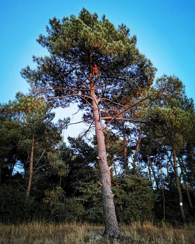 Rompre l’isolement rural.