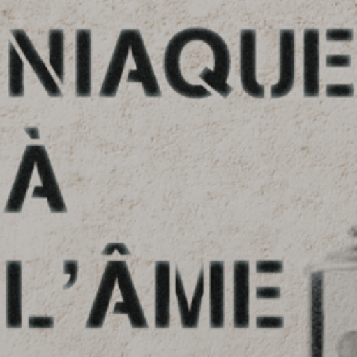Logo Niaque à l'Âme